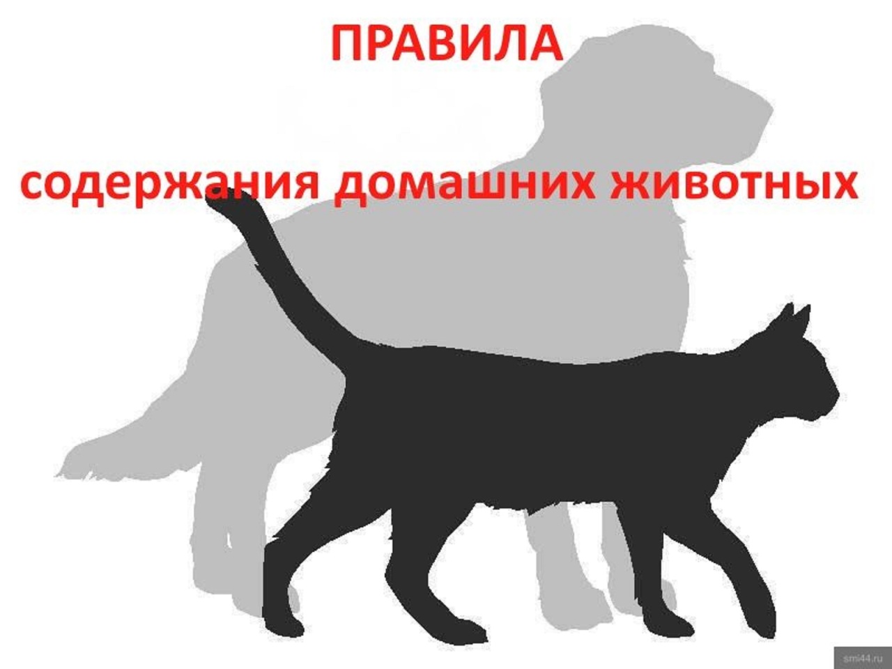 Содержание собак и кошек в муниципальном образовании &quot;Дедовичи&quot;.